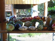 Výlet do Ekocentra MB - Spižírna